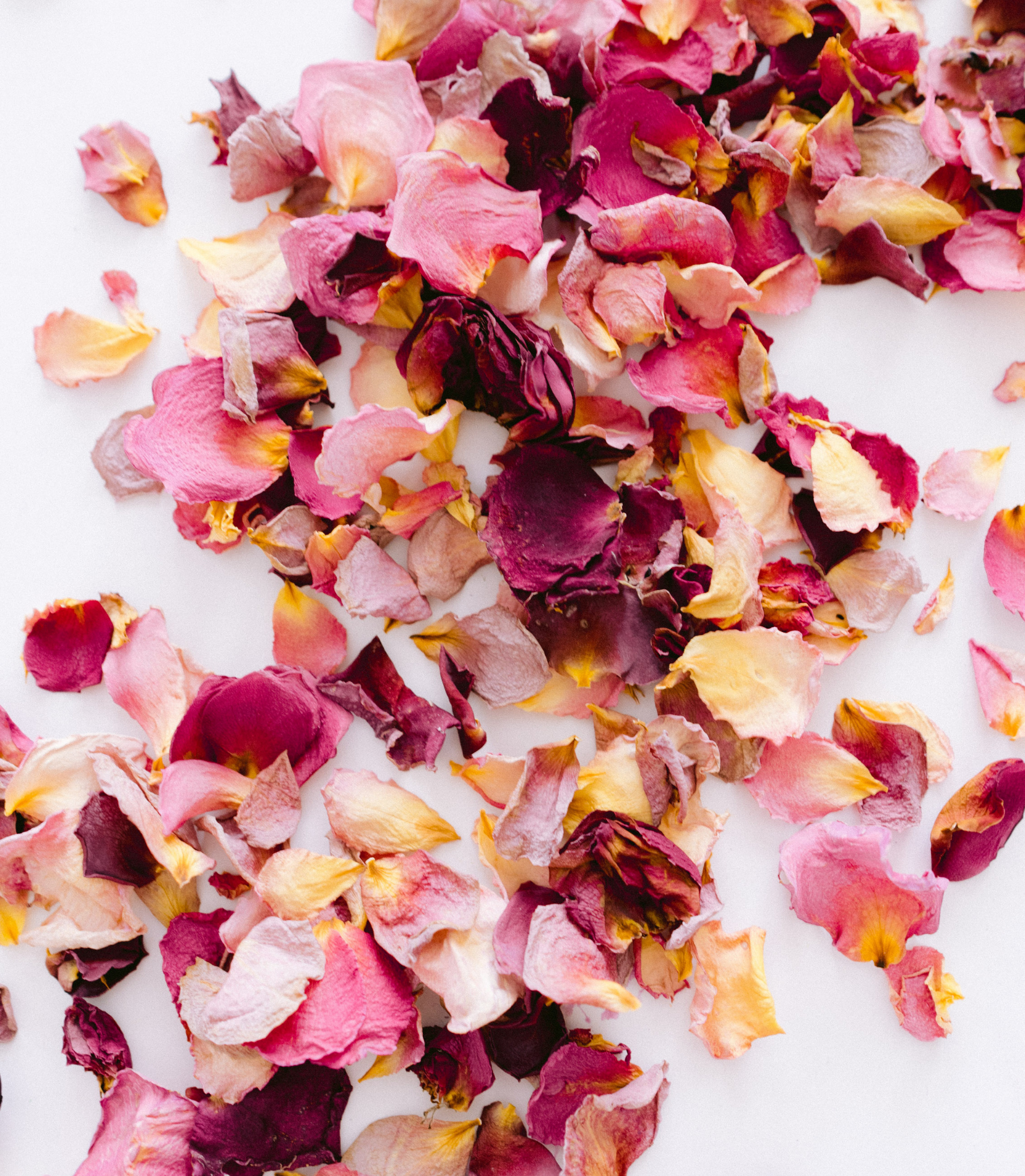 Poster Scattered dried flower petals background and rose 
