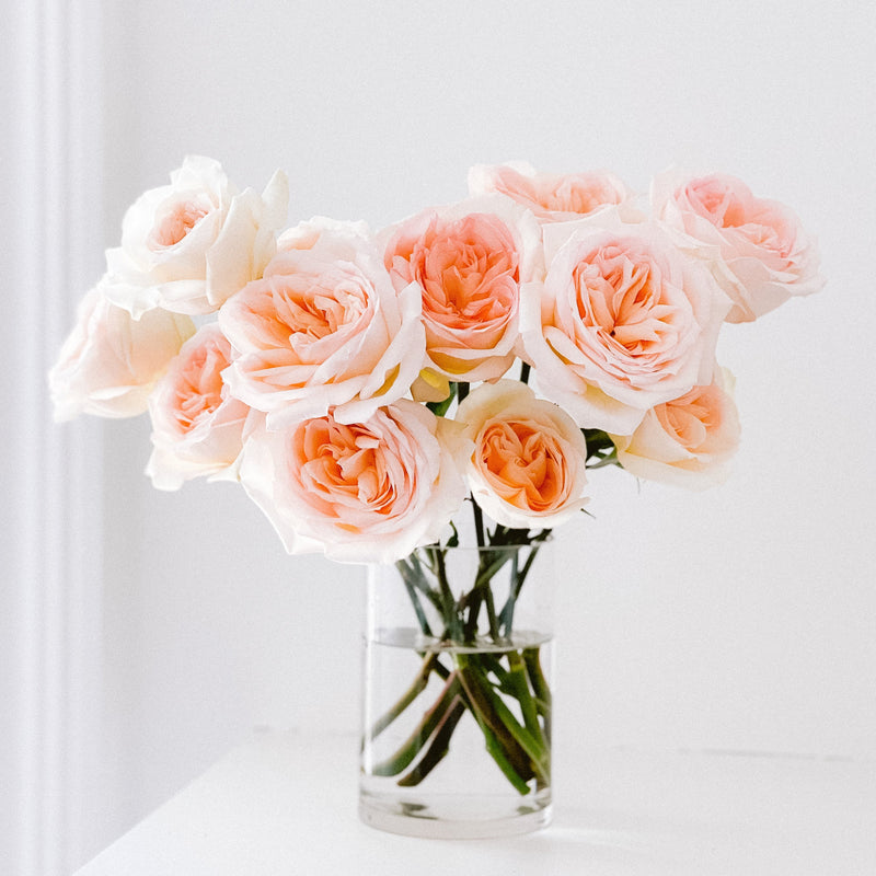 Twelve Months of Roses – Rose Farmers
