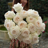 "Always in Bloom" Garden Rose Subscription