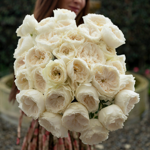 White Cloud Bouquet