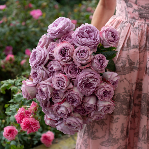 Lavender Bouquet Stems