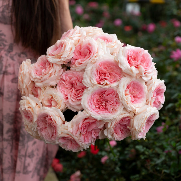 Mayra's Bridal Pink Bouquet