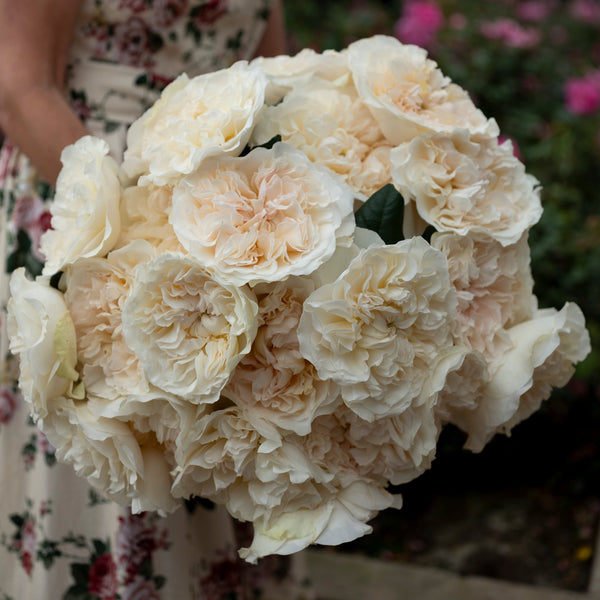 Eugenie Bouquet