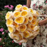 Effie Bouquet