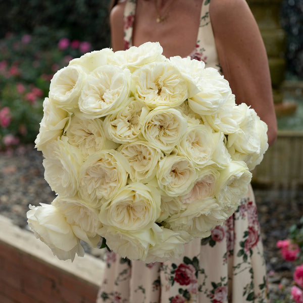 Leonora Bouquet