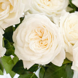 Alabaster® Bouquet