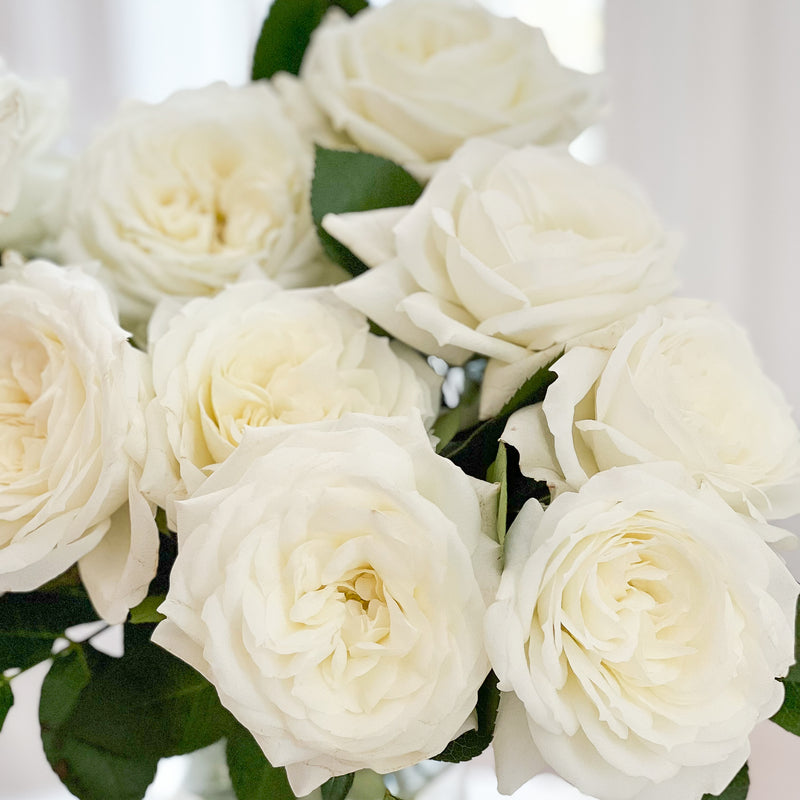 Alabaster® Bouquet