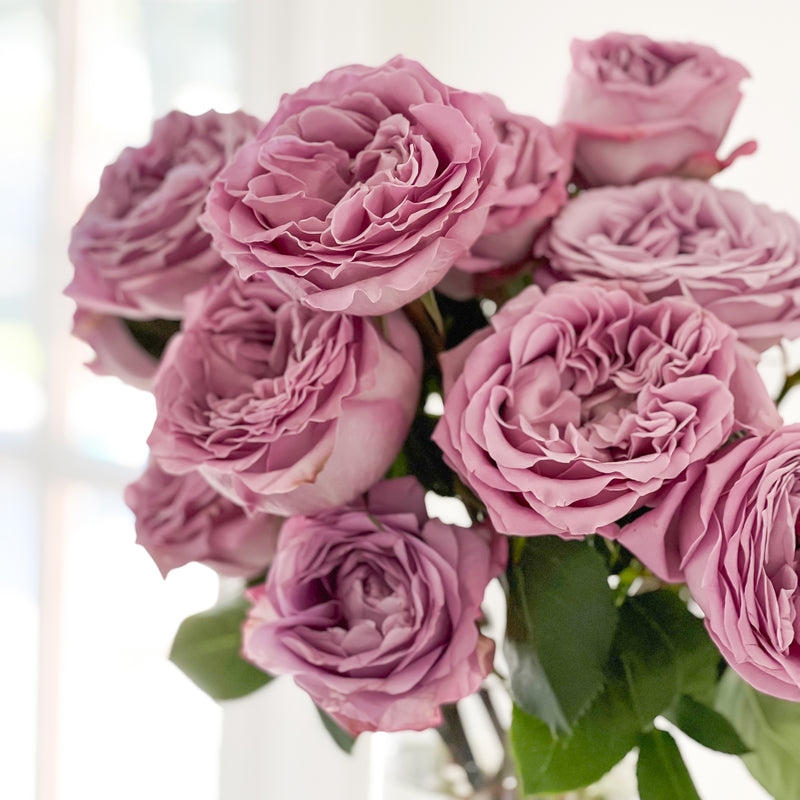 Lavender Bouquet