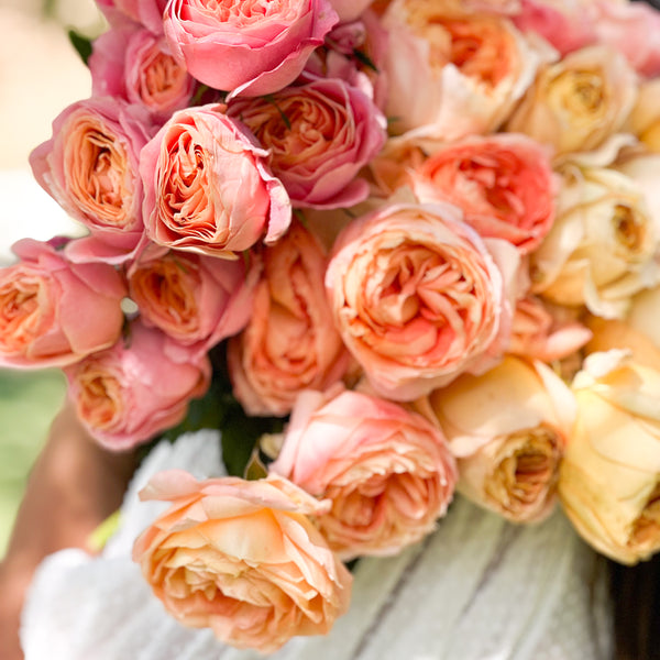 pink orange roses